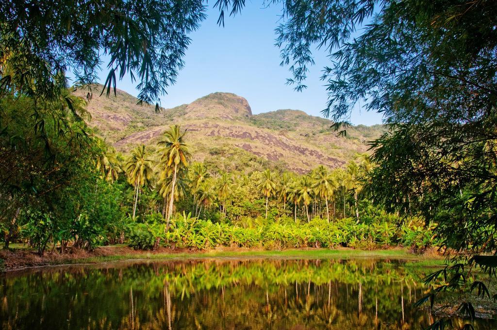 Вилла Raintree Дамбулла Экстерьер фото