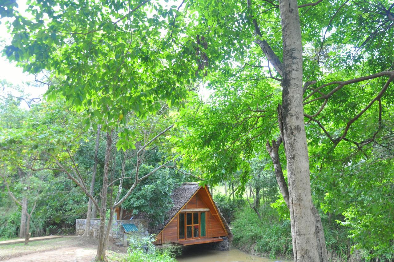 Вилла Raintree Дамбулла Экстерьер фото