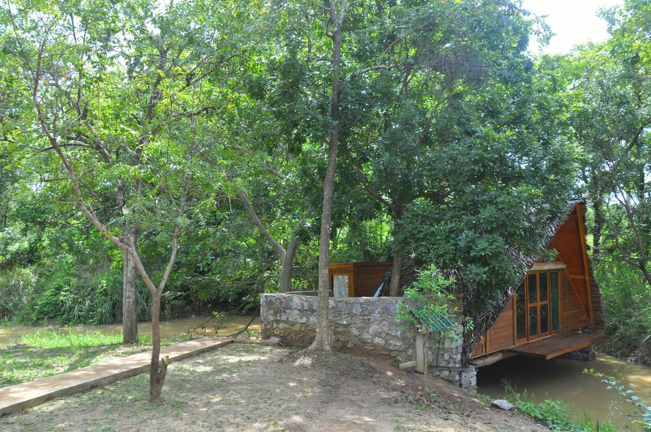 Вилла Raintree Дамбулла Экстерьер фото