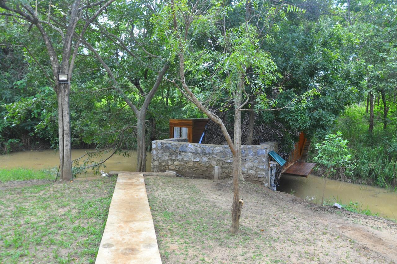 Вилла Raintree Дамбулла Экстерьер фото