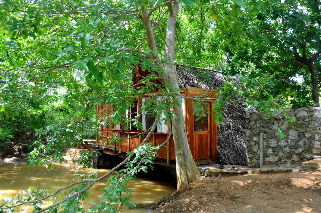 Вилла Raintree Дамбулла Экстерьер фото