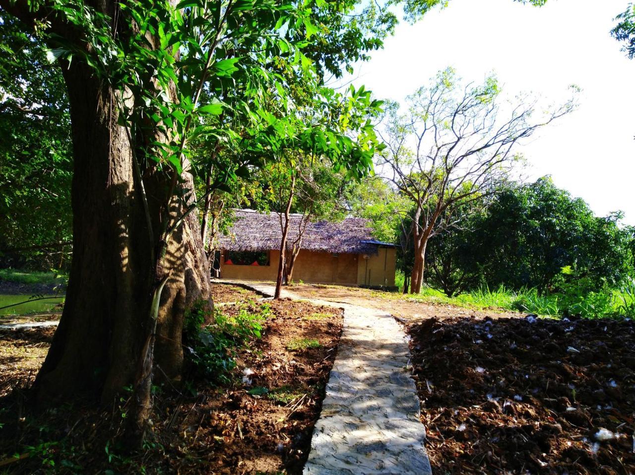Вилла Raintree Дамбулла Экстерьер фото